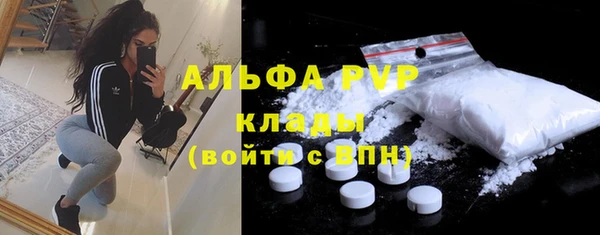молекула духа Алексин