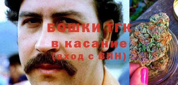 молекула духа Алексин