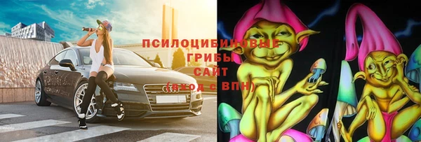 молекула духа Алексин