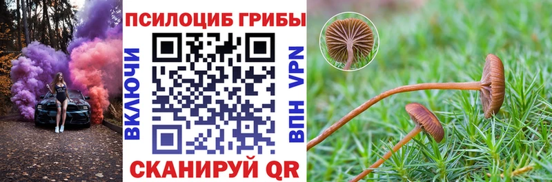 omg ONION  наркошоп  Александровское  Галлюциногенные грибы прущие грибы 